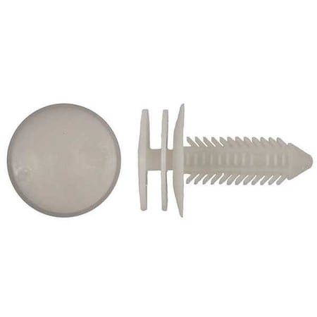 Zoro Select Push-In Rivet, Dome Head, 7 mm Dia., 24 mm L, Nylon Body, 25 PK 1807PK