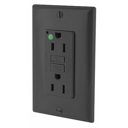Leviton GFI Receptacle GFNT1-HGE