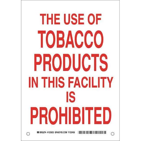 Brady No Smoking Sign, 14 in H, 10" W, Rectangle, English, 123924 123924