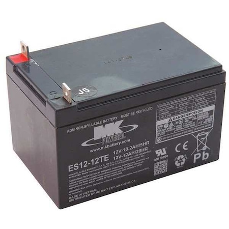 Generac Battery 316543GS
