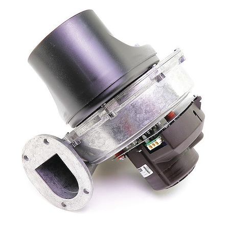 Lochinvar Condensate Trap Assembly MSC3008