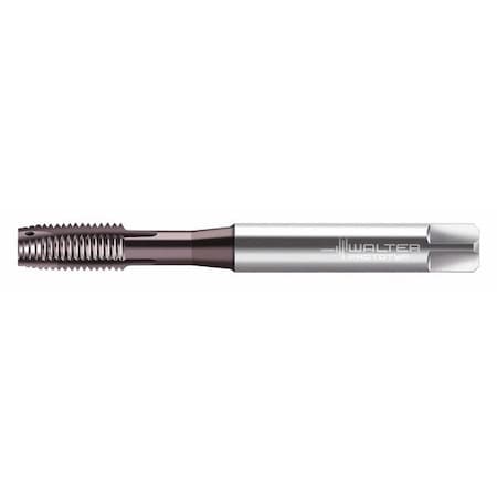 Walter Spiral Point Tap, Taper, 3 EP2021342-M6