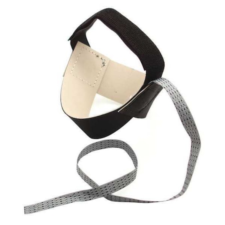 Botron Co Heel Grounder 1 MegOhm B7503