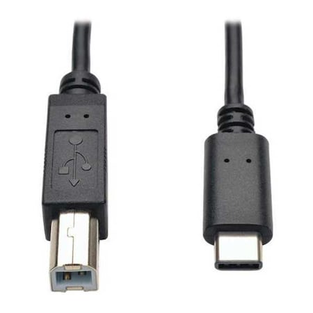 Tripp Lite USB 2.0 Cable, Hi-Speed, Type B-C, M/M, 6ft U040-006