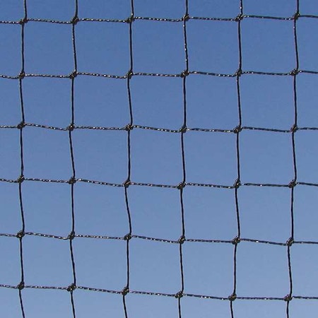 Bird Barrier Net, Heavy Duty, Black, 3/4", 25 x 50 ft. N1X-B120