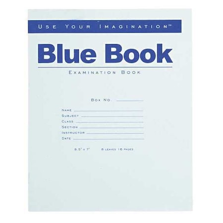 Roaring Spring Book, Examination, 8 Sheet, Wide, Blue 77512