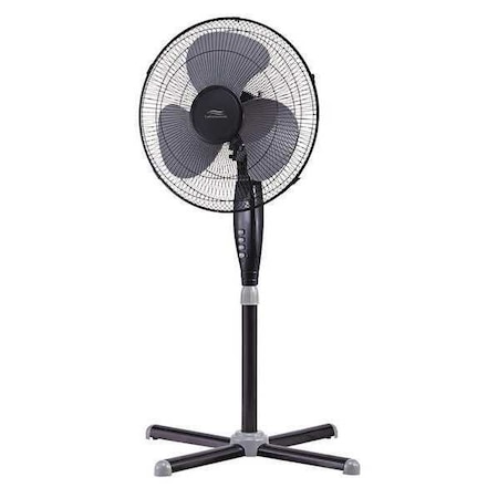 Lakewood 16" Pedestal Fan, Black LSF1610C-BM