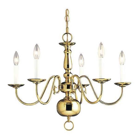 Progress Lighting Americana 5 Light Chandelier, 60 W, Polished Brass P4355-10