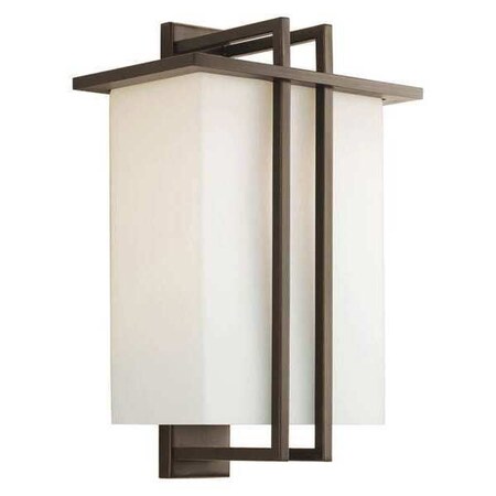 Progress Lighting Dibs Outdoor 1-Light Large Wall Lantern, 100 W, Bronze P5992-20