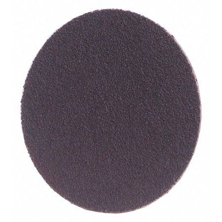 Zoro Select PSA Sanding Disc, Coated, 1" dia., 100 Grit 08834171134