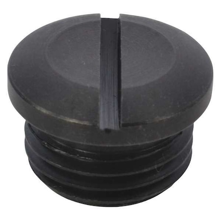 Speedaire Valve Cap TTR4420406G