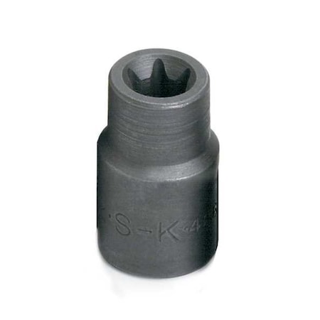 Sk Professional Tools 3/8 in Drive, E10 Female Torx(R) SAE Socket, 6 Points 42610