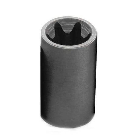 Sk Professional Tools 1/2 in Drive, E20 Female Torx(R) SAE Socket, 6 Points 42620