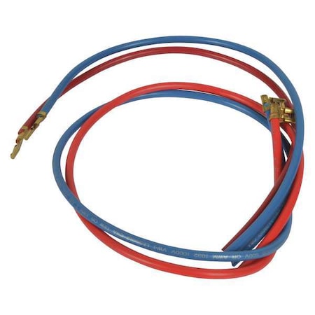 Dayton Cord, Male DAP0038