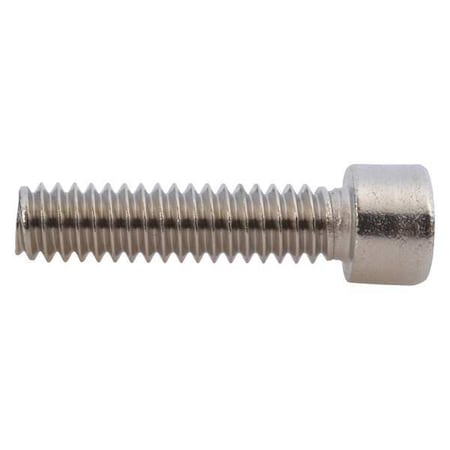 Dayton Piston Capscrew PPTWA901G