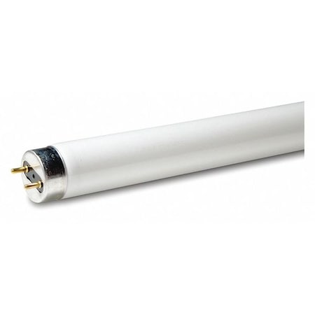 Lumapro Fluorescent Lamp, T8, 48In. L, 32W, 3000K 48GP54