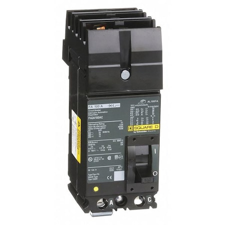 Square D Molded Case Circuit Breaker, FA Series, 100, 2 Pole, 480VAC FA24100AC