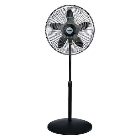 Air King 18" Blade Dia Pedestal Fan, Oscillating, 3 Speeds, 120VAC, Black 9118