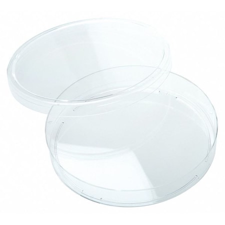 LAB SAFETY SUPPLY Sterile Petri Dish, 15mL, PK500 667694