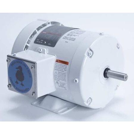 Leeson Washdown Motor, 1/2 HP, Rigid Base, CWSE 112427.00
