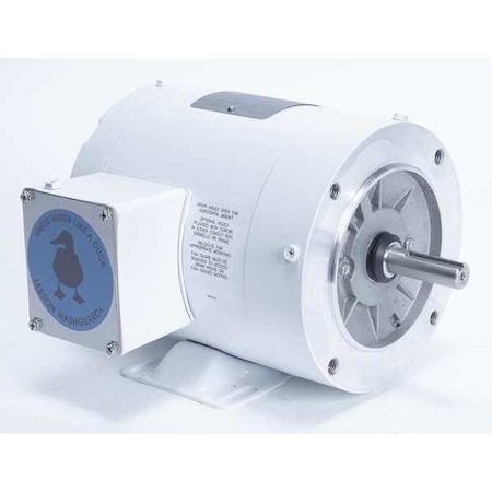 LEESON Washdown Motor, 1/2HP, 3-Phase Design, 60Hz 113586.00