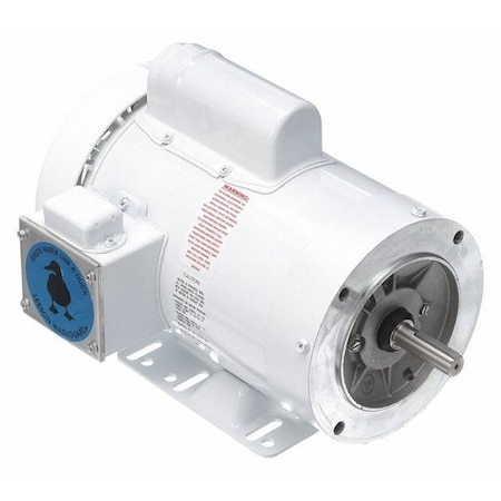 Leeson Washdown Motor, 2 HP, Face/Base, 13-3/8in.L 114637.00