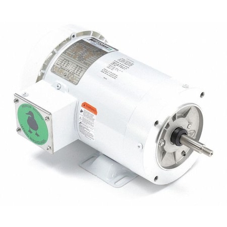 Leeson Washdown Motor, 2 HP, Face/Base, 3-Phase 119461.00