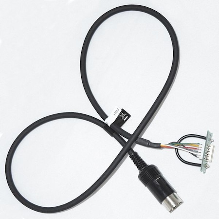 Motorola Cable, Type Cable, 12" L AAF26X002 CT-124B