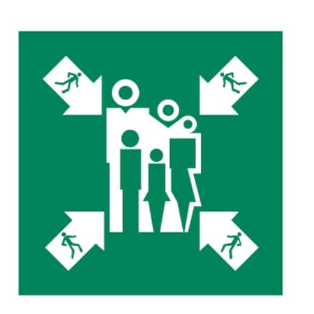 Condor (ASSEMBLY MUSTER STATION SYMBOL), 6 in W x 6 in H, Square, Polycarbonate, 486F75 486F75