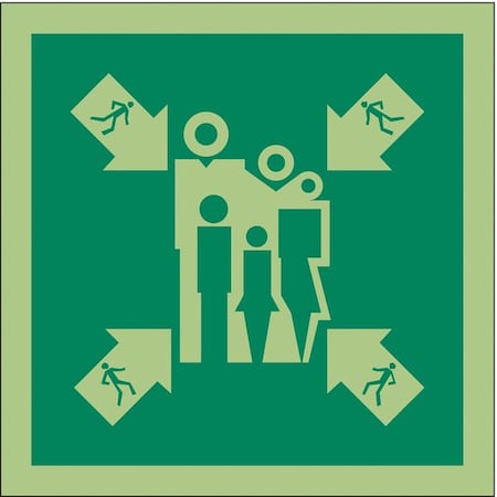 Condor (ASSEMBLY MUSTER STATION SYMBOL), 6 in W x 6 in H, Square, Vinyl, 486F76 486F76