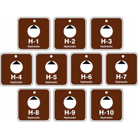 Accuform Energy Source ID Tag, No Header, Plastic, 2-1/2" Width, 2-1/2" Height, Write On Surface: No , 10 PK TDK520VPR