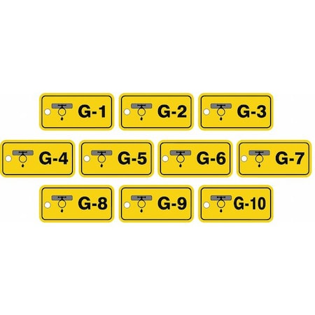 Accuform Energy Source ID Tag, No Header, Plastic, 3" Width, 1-1/2" Height, Write On Surface: No , 10 PK TDF420VPR