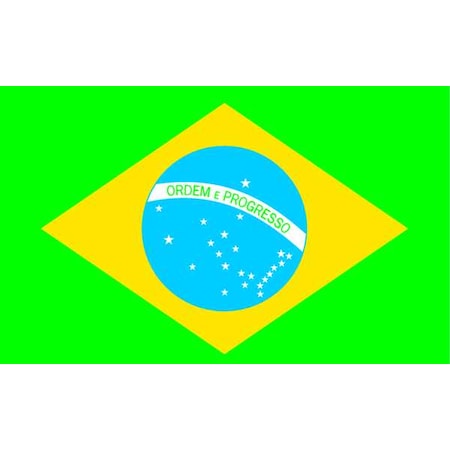 Annin Flagmakers Brazil Flag, 4x6 Ft, Nylon 190845