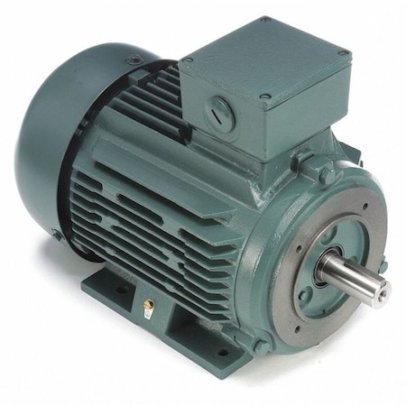 Leeson 3-Phase Premium Efficiency Metric Motor, 3 HP, 100L Frame, 230/460V AC Voltage, 1,770 Nameplate RPM 193359.60