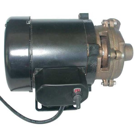 Dayton Brass 1/8 HP Centrifugal Pump 115V 5PXX3