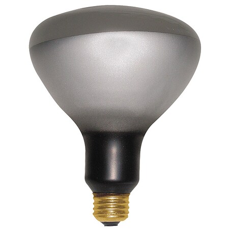 Current Incandescent Floodlight, R40,300W 300R/FL/1