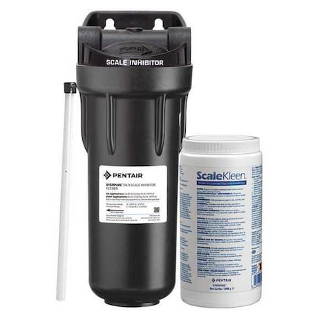 Everpure Steamer, Deliming System, 3/4 In, 6 gpm EV979720-75