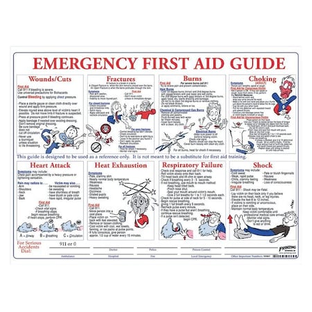 Brady First Aid Training Poster, 18 x 24In, ENG PS128E