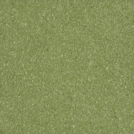 Armstrong Vinyl Floor Tiles, 12"W, Green Apple 5C866031