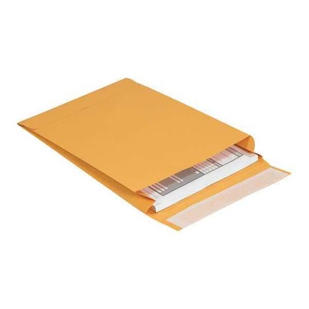 Partners Brand Expandable Self-Seal Envelopes, 9 1/2" x 13" x 2", Kraft, PK250 EN1073