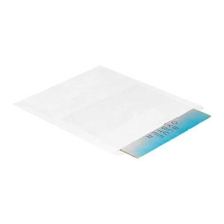 Partners Brand Flat Merchandise Bags, 15" x 18", White, PK500 BGM109W