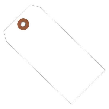 Partners Brand Plastic Shipping Tags, 6 1/4" x 3 1/8", White, PK100 G26057