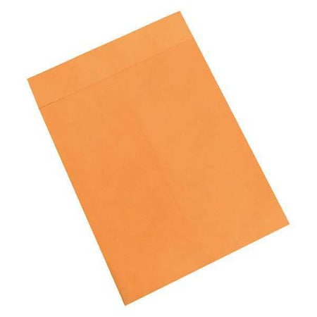 Partners Brand Jumbo Envelopes, 14" x 18", Kraft, PK100 EN1081