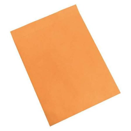 Partners Brand Jumbo Envelopes, 17" x 22", Kraft, PK100 EN1084