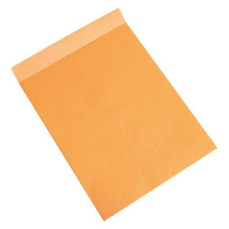 Partners Brand Jumbo Envelopes, 18" x 23", Kraft, PK100 EN1085