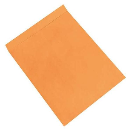 Partners Brand Jumbo Envelopes, 22" x 27", Kraft, PK100 EN1086