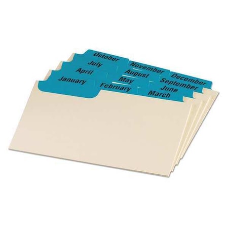 Oxford Guide, Card3"X5", Month, Blue, PK12 03513