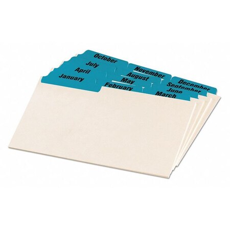 Oxford Guide, Card4"X6", Month, Blue, PK12 04613
