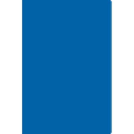 Labelmaster Blank Labels 4"x6", Paper, Blue, Pk500 BH10B