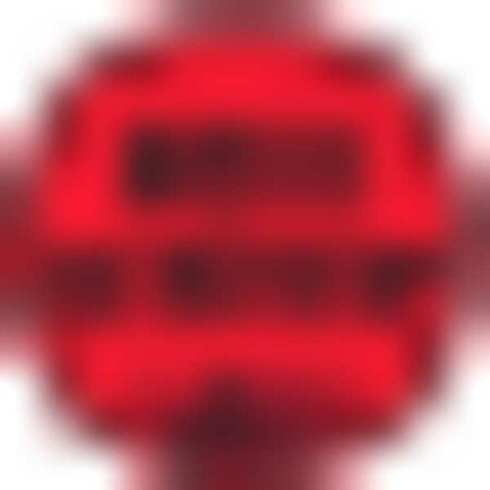 Labelmaster Hold Do Not Ship, Label, 2", Pk500 BLT31